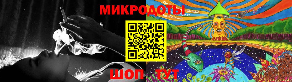 Псилоцибиновые грибы Psilocybe Полевской
