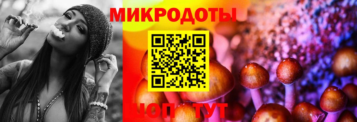 Полевской  Галлюциногенные грибы Psilocybe  Вход с VPN 